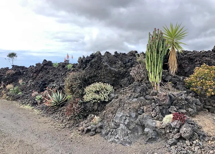 Casa Cueva De Palomas 2 Gospodarstwo wiejskie Las Manchas (La Palma)