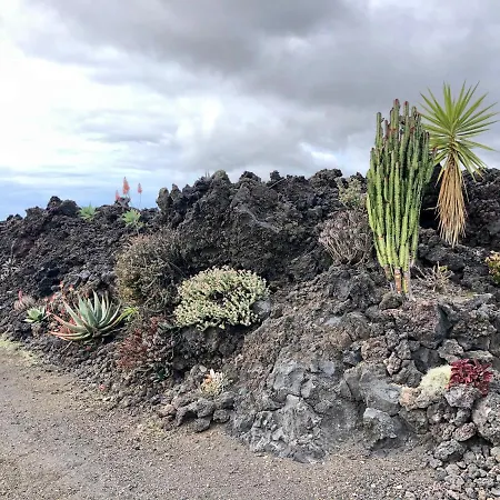 Casa Cueva De Palomas 2 منزل ريفي Las Manchas (La Palma)