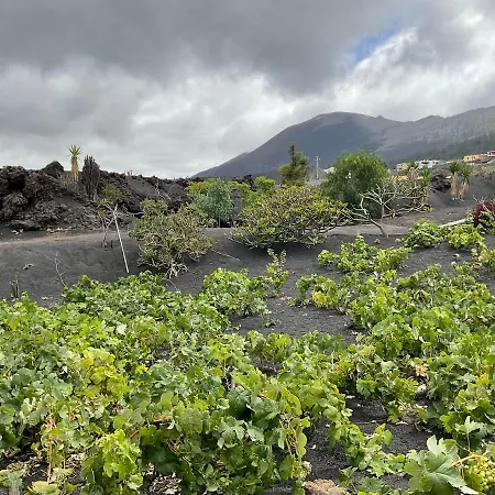 Casa Cueva De Palomas 2 Séjour à la campagne *